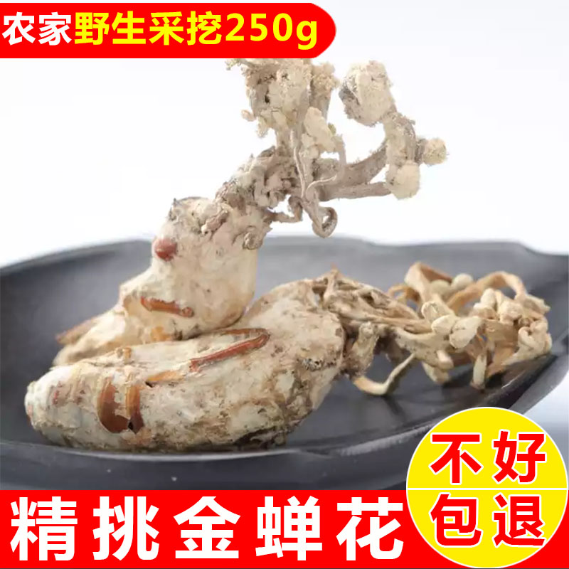 大别山金蝉花竹林新货蝉花虫草花干货250g金蚕花非金蝉花500g包邮在类目 传统滋补营养品, 其他传统滋补品, 金蝉花中 - 来自Buy2taobao.com提供专业的淘宝代购服务