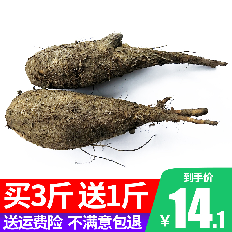 fresh wild sb. good at using pull for personal gain Ground mouse 500g Flower head Mirabilis Soupin the Traditional nourishing food , Medicinal and Edible Food , Other Medicinal and Edible Food category - from Buy2taobao.com to provide professional Taobao agent buy service