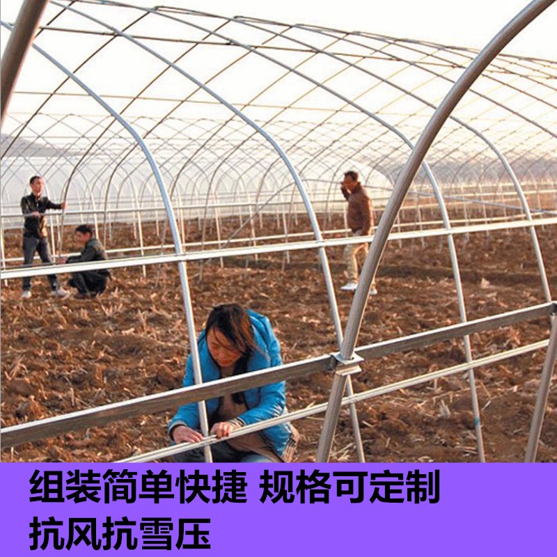 溫室大棚骨架蔬菜大棚鋼管養殖大棚骨架多肉大棚農業鋼架大棚配件在類目 鮮花速遞/花卉仿真/綠植園藝, 園藝用品, 其它園藝用品中 - 來自Buy2taobao.com提供專業的淘寶代購服務