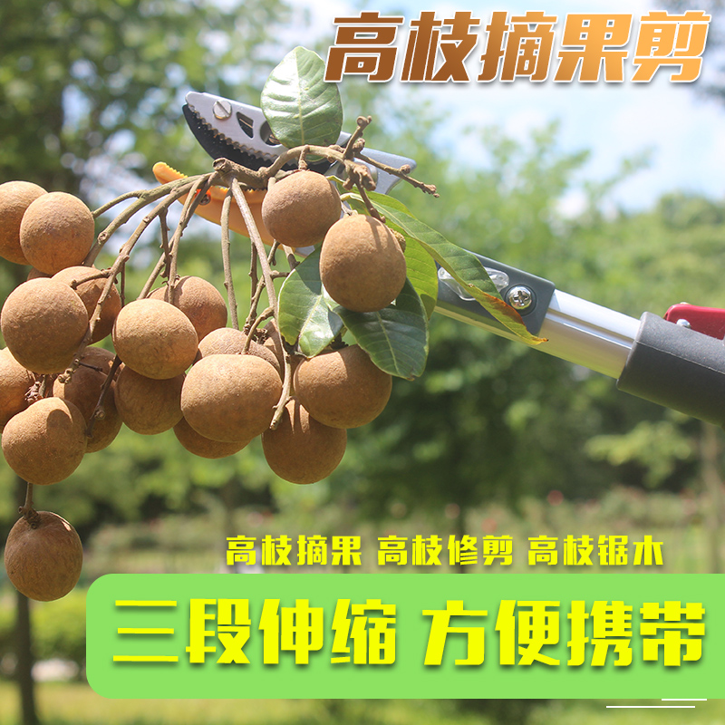摘果器树枝高枝剪刀伸缩枝剪摘果神器摘枇杷多功能高枝剪摘果剪在类目 鲜花速递/花卉仿真/绿植园艺, 园艺用品, 园艺/刀/剪/锯(新), 剪刀中 - 来自Buy2taobao.com提供专业的淘宝代购服务