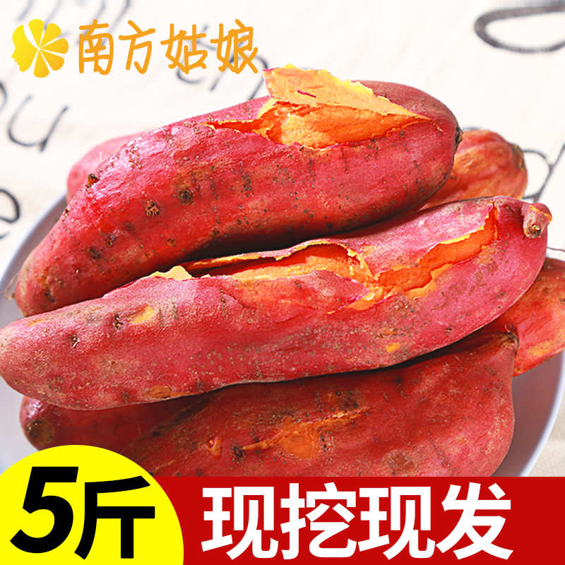 六鳌紅薯新鮮地瓜小香薯紅蜜薯農家自種紅心小番薯5斤裝非板栗薯在類目 水產肉類/新鮮蔬果/熟食, 新鮮蔬菜/蔬菜製品, 新鮮蔬菜, 番薯中 - 來自Buy2taobao.com提供專業的淘寶代購服務