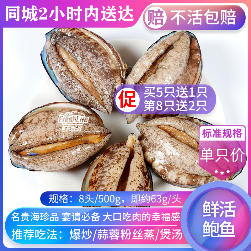 昆明店 包鲜活大连8#鲍鱼单只价 特级野生鲍贝九孔螺海鲜之首在类目 水产肉类/新鲜蔬果/熟食, 海鲜/水产品/制品, 贝类, 鲍鱼中 - 来自Buy2taobao.com提供专业的淘宝代购服务