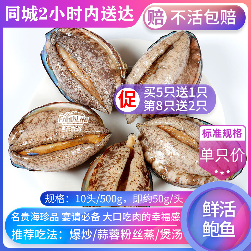 昆明店 包鲜活大连10#鲍鱼单只价 特级野生鲍贝九孔螺海鲜之首在类目 水产肉类/新鲜蔬果/熟食, 海鲜/水产品/制品, 贝类, 鲍鱼中 - 来自Buy2taobao.com提供专业的淘宝代购服务