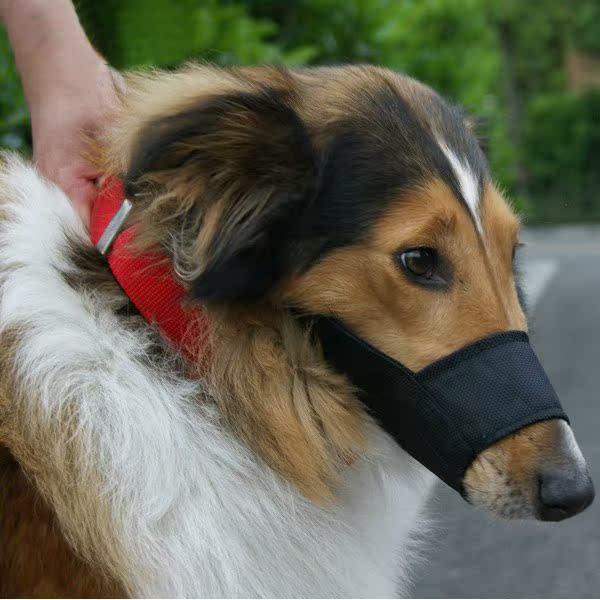 宠物黑色尼龙布嘴套狗防护口罩 防咬人防捡吃垃圾文明遛狗大型犬|ruв категории животное/Животное питание и принадлежностей, кошка/собака товаров, намордник - от Buy2taobao.com для оказания профессиональной услуги покупки агента Taobao