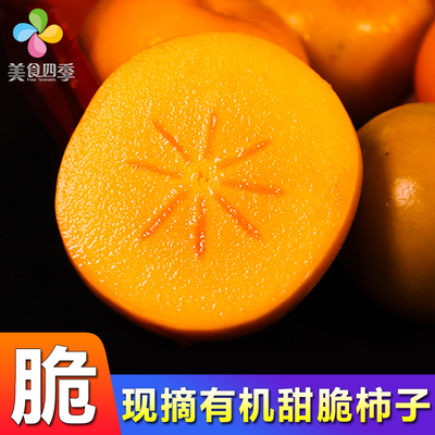 甜脆柿子新鲜水果现摘当季富有硬柿子脆甜不涩 柿子新鲜脆柿子5斤