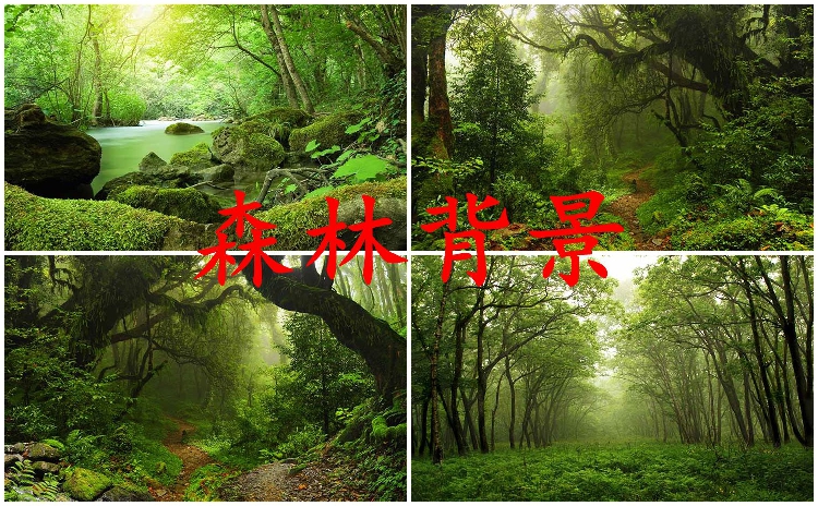 Studio shot Background cloth Photography children Photograph anchor live broadcast Forest Forest Scenery Location Valancein the 3C Digital Accessories, SLR/Single-camera accessories , Studio Equipment , Background cloth category - from Buy2taobao.com to provide professional Taobao agent buy service