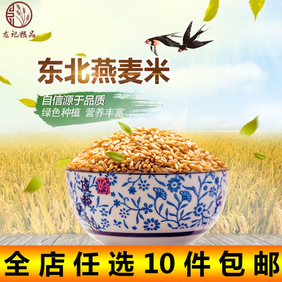 新货 优质燕麦米500g 农家自产 燕麦仁 野麦雀 五谷杂粮燕麦米