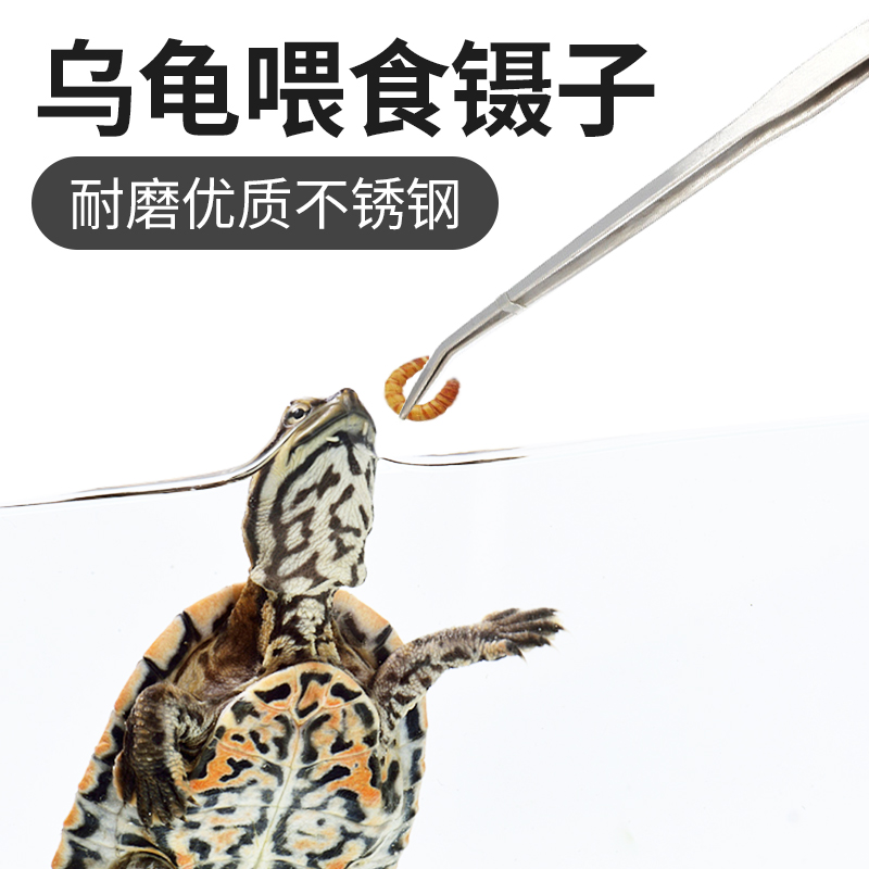 爬蟲喂食不鏽鋼鑷子爬蟲寵用品多肉盆景清理夾子水草缸種植工具在類目 寵物/寵物食品及用品, 爬蟲/鳴蟲及其用品, 爬蟲/鳴蟲用具中 - 來自Buy2taobao.com提供專業的淘寶代購服務