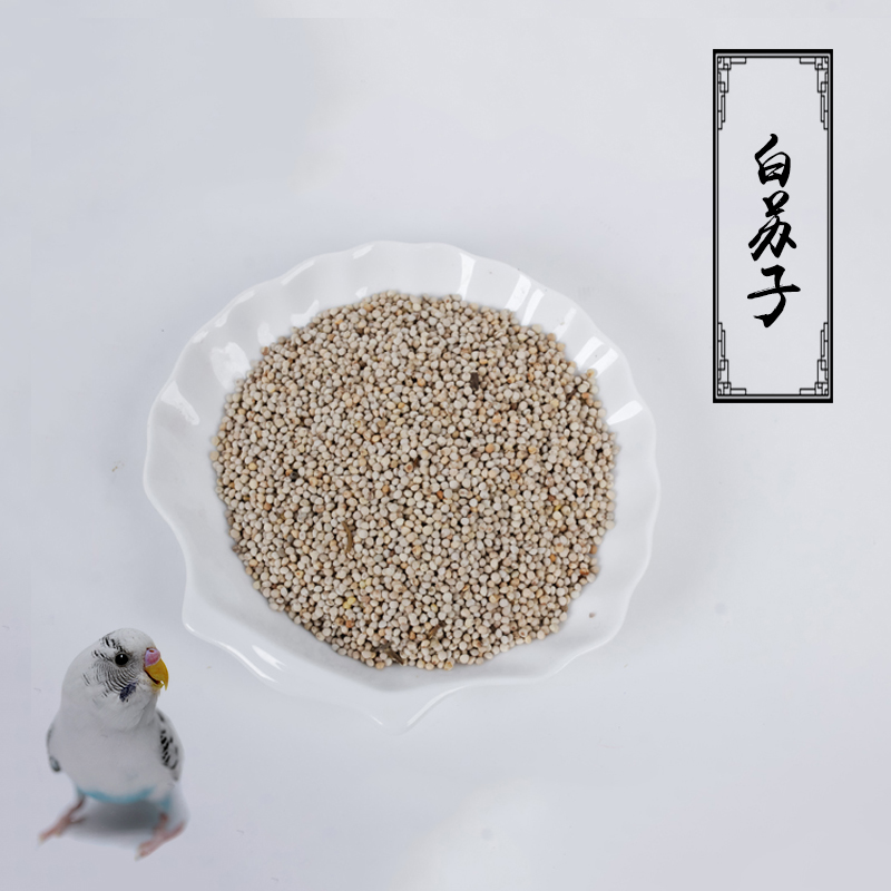 鹦鹉金絲雀鳥食鳥糧鳥飼料 虎皮牡丹文鳥寵物用品鳥食 鳥糧白蘇子在類目 寵物/寵物食品及用品, 鳥類及用品, 鳥食中 - 來自Buy2taobao.com提供專業的淘寶代購服務