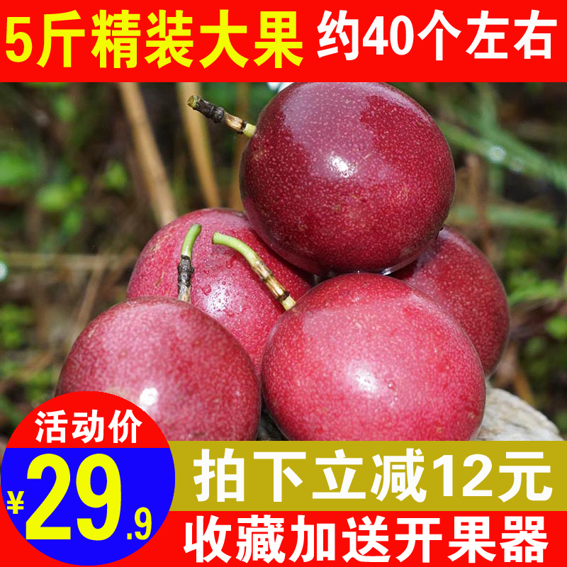 广西百香果西番莲鸡蛋果现摘应季热带新鲜水果5斤精装大果包邮在类目 水产肉类/新鲜蔬果/熟食, 新鲜水果, 百香果中 - 来自Buy2taobao.com提供专业的淘宝代购服务