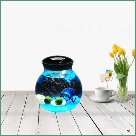Aquarium company Mini Scenery Cruentum indoor Green plant Valentine's Day to work in an office desk gift ecologyin the Flower delivery/Flowers simulation/Plants gardening , Creative mini-plant category - from Buy2taobao.com to provide professional Taobao agent buy service