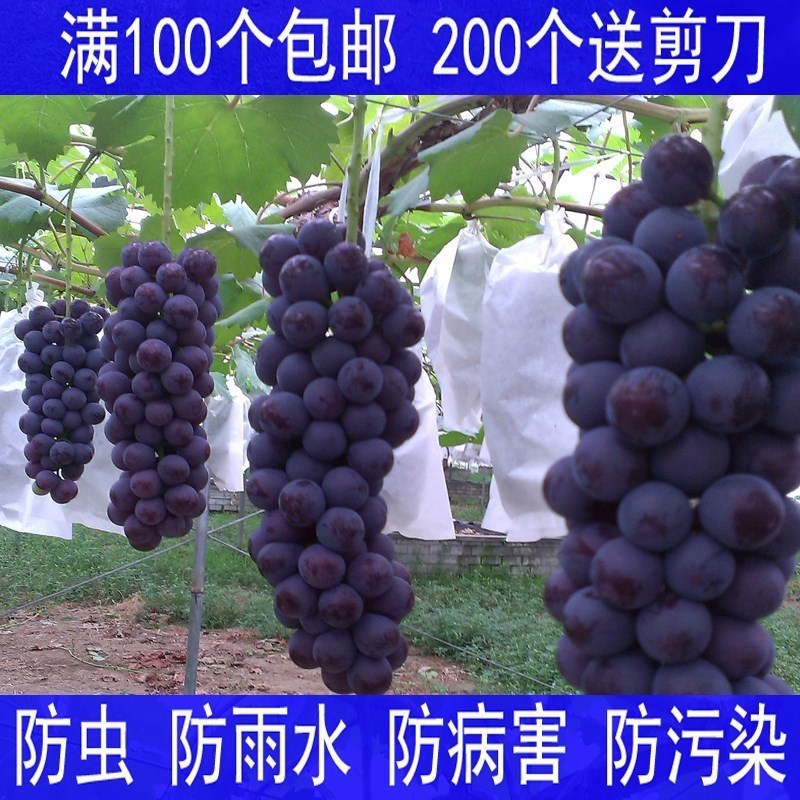 葡萄套袋专用袋批發防鸟防虫莲雾水果袋套袋套葡萄的纸袋子|ruв категории доставка цветов/цветок моделирования/растения садоводства, садовых принадлежностей, других садовых принадлежностей - от Buy2taobao.com для оказания профессиональной услуги покупки агента Taobao