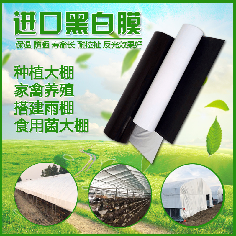进口抗老化黑白膜鸡舍养殖大棚膜反光加厚大棚塑料布食用菌隔热膜在类目 农机/农具/农膜, 农膜/篷布/遮网/大棚, 农用薄膜中 - 来自Buy2taobao.com提供专业的淘宝代购服务