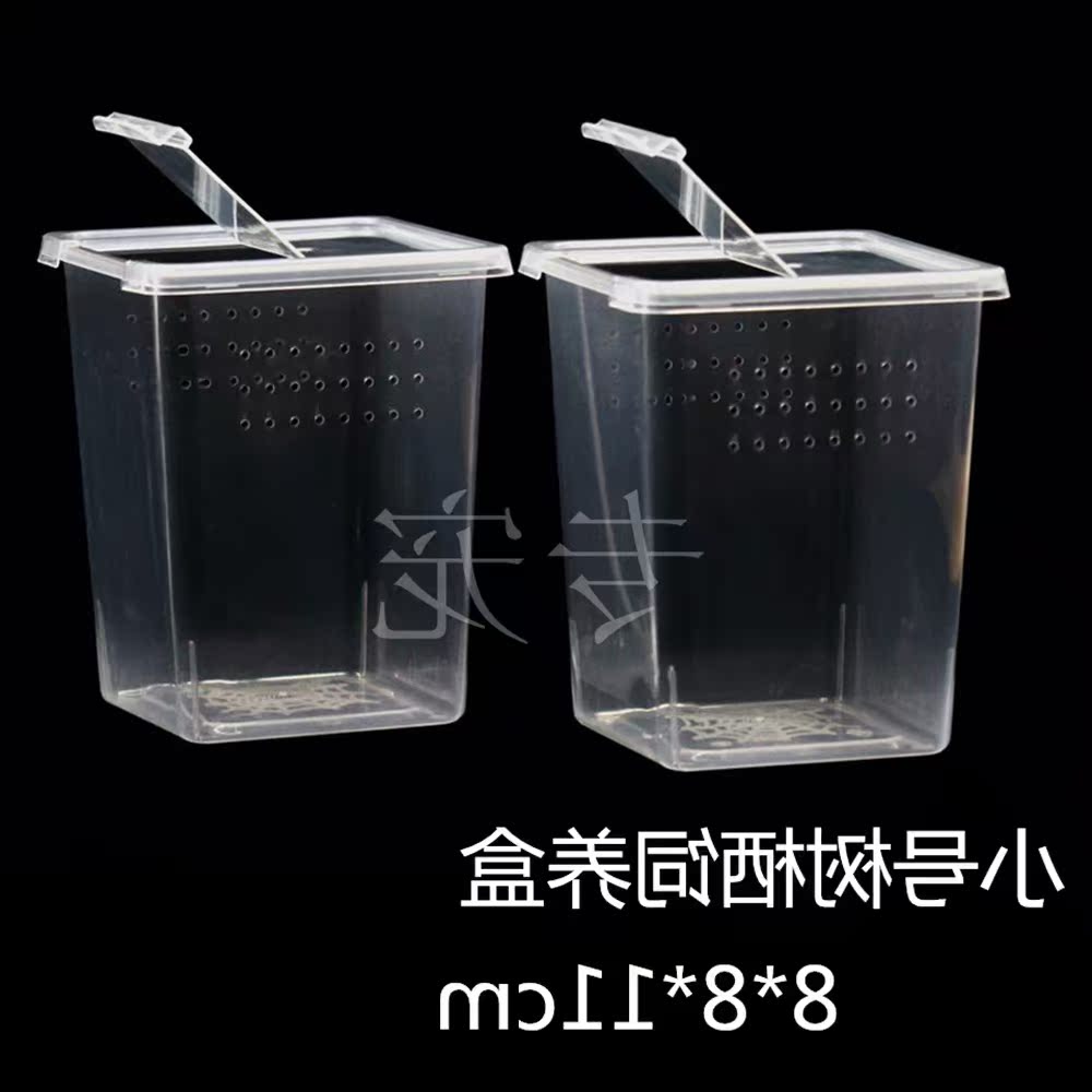 翻盖小方盒 蜘蛛幼体专业饲养盒捕鸟蛛蝎子蜈蚣苗爬宠专业塑料盒在类目 宠物/宠物食品及用品, 爬虫/鸣虫及其用品, 爬虫/鸣虫用具中 - 来自Buy2taobao.com提供专业的淘宝代购服务
