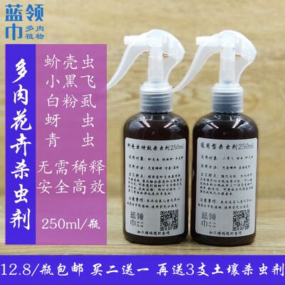 杀虫剂多肉植物通用绿植花卉盆栽喷雾专用蚧壳虫蚜虫小黑飞