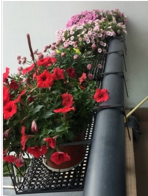 花架陽台鐵藝多層挂式花盆架欄杆懸挂吊蘭綠蘿客廳壁挂花架子在類目 住宅傢俱, 架類, 花架/花幾中 - 來自Buy2taobao.com提供專業的淘寶代購服務