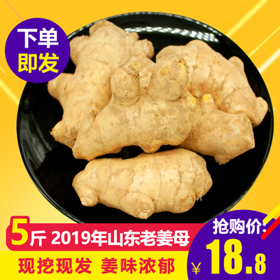 【发5斤】山东大姜生姜老姜母新鲜月子姜母姜小黄姜蔬菜现挖鲜姜