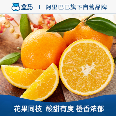 盒马湖北秭归伦晚单果80mm起中大果当季新鲜橙子水果风味十足甜橙