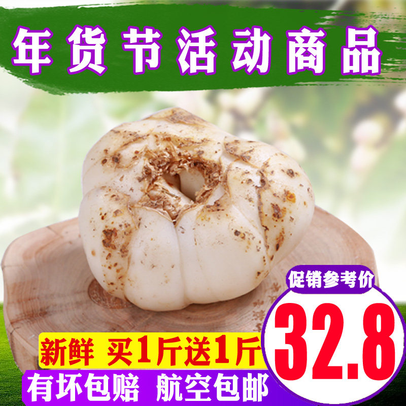 买1送1 鲜百合甘肃特产兰州甜百合新鲜特级食用白合非干百合