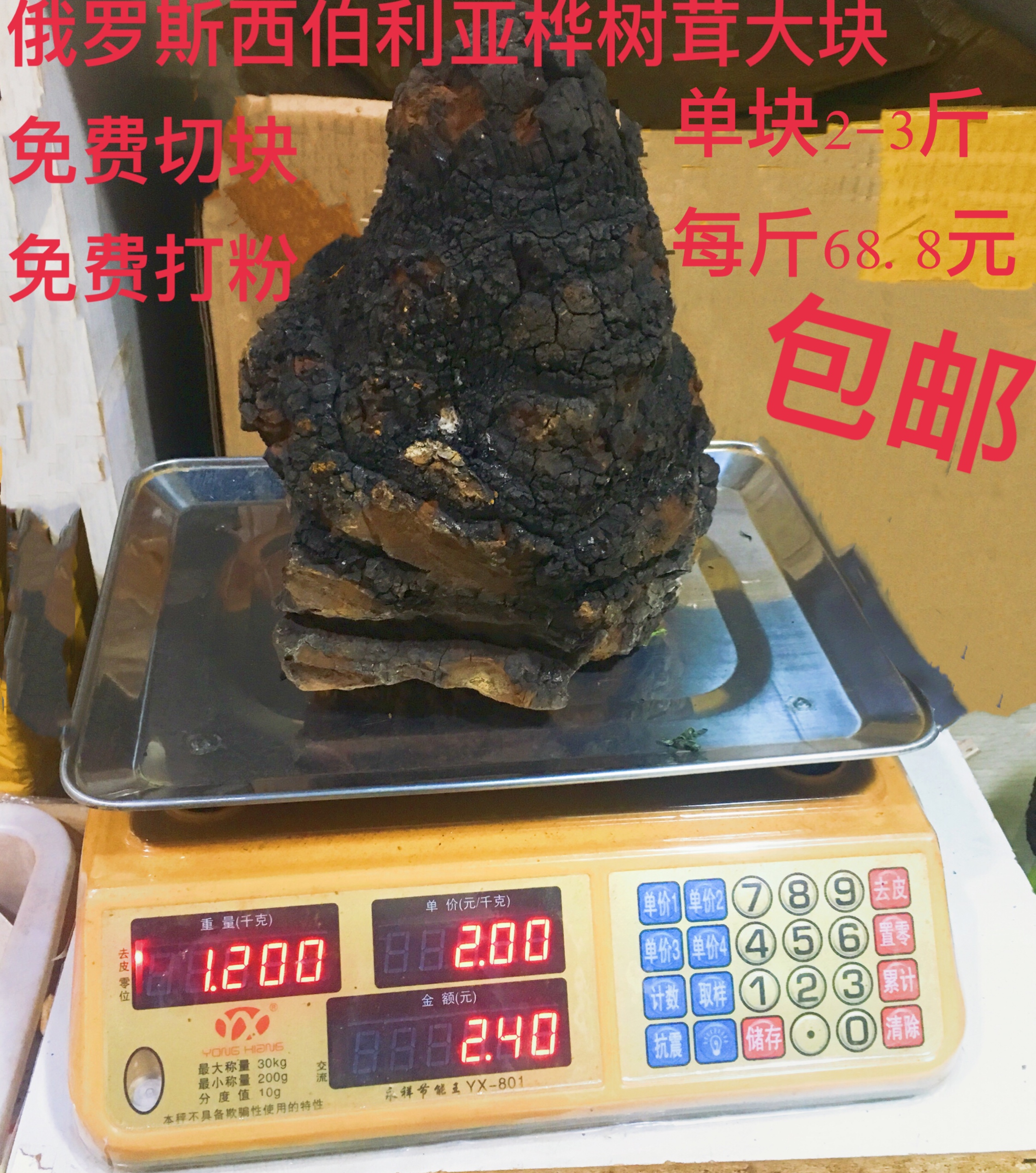 Russia Birch Birch Velvet Imported wild Bulk 2-3 Jin 500g quality goodsin the Traditional nourishing food , Medicinal and Edible Food , Other Medicinal and Edible Food category - from Buy2taobao.com to provide professional Taobao agent buy service