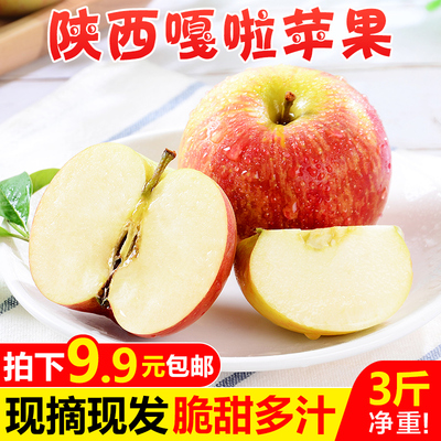 陕西嘎啦苹果水果3斤净重 新鲜当季红富士丑平果小应季青批发包邮