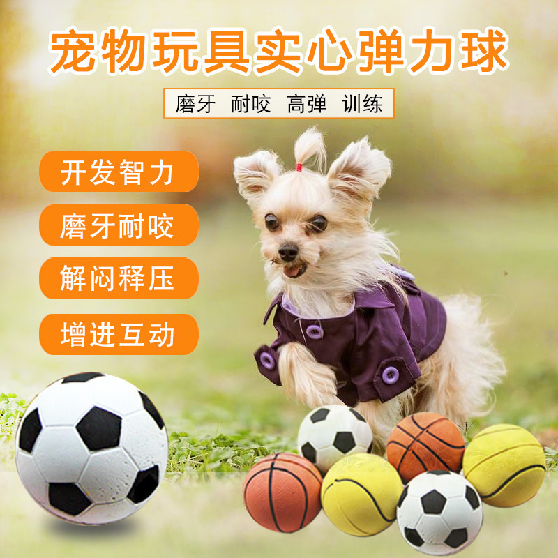 Small dogs Pets Dogs Toys rubber Pet toy ball Elastic ball Solid Random Colorin the Pet/Pet food and supplies , Cat/Dog Toys , Rubber Ball/Ball Toys category - from Buy2taobao.com to provide professional Taobao agent buy service
