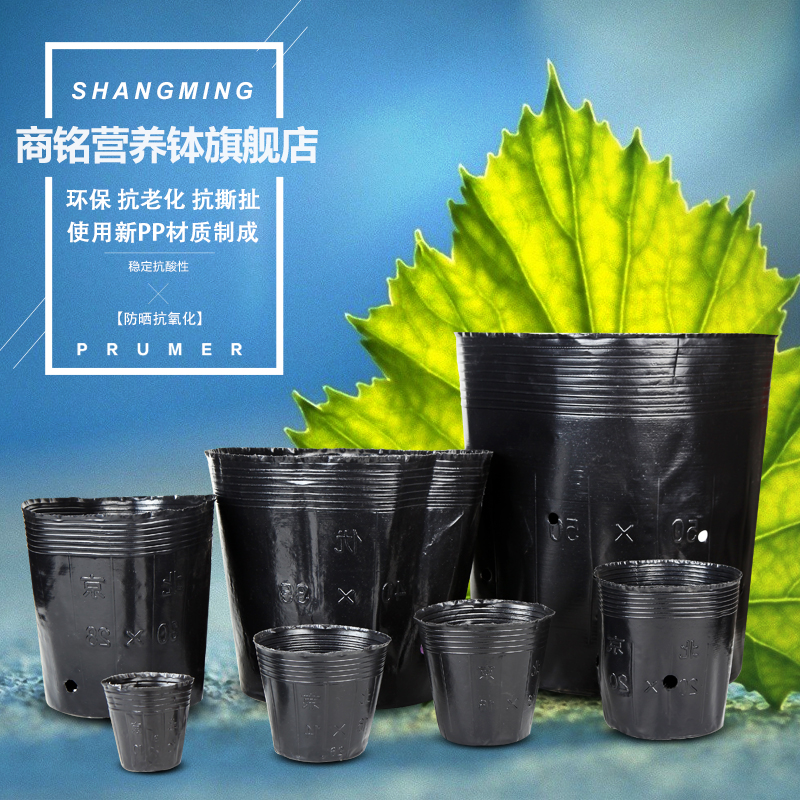 Nutritional bowl Nursery Cup black thickening Nursery pot Plastic Flower pot disposable Nursery Cup Seedling Basinin the Flower delivery/Flowers simulation/Plants gardening , Gardening supplies , Seedling tray/Nutritional bowl category - from Buy2taobao.com to provide professional Taobao agent buy service