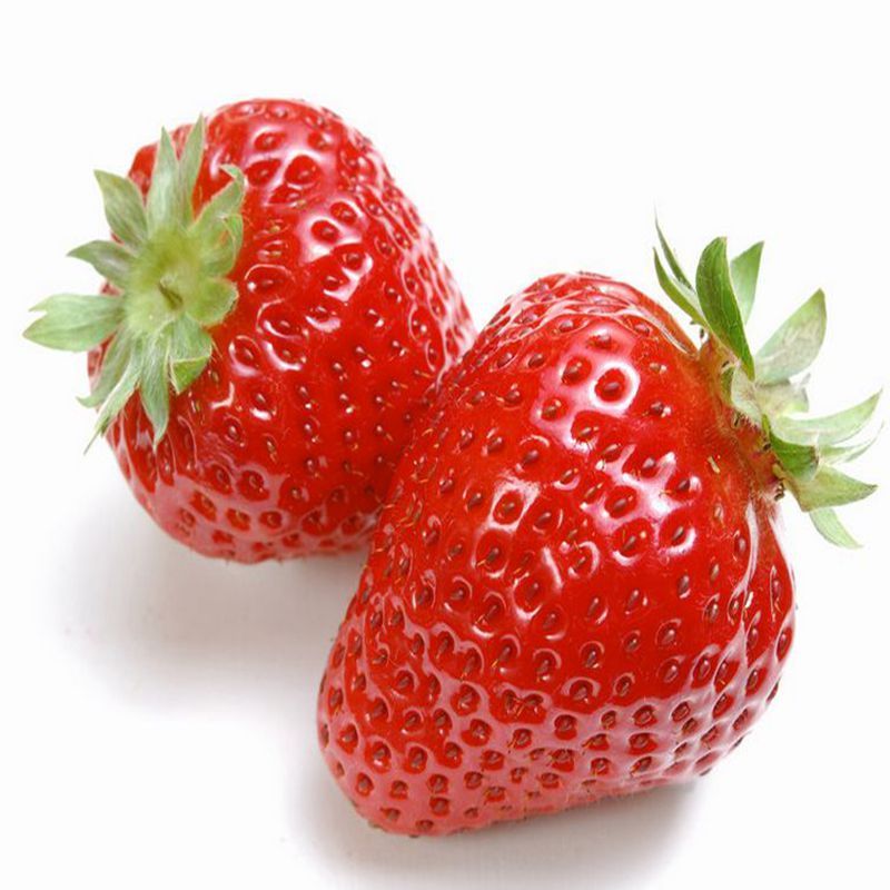 四季播家庭陽台食用奶油草莓種子農家蔬菜種子結果田野牛奶草莓籽在類目 家居飾品, 壁飾中 - 來自Buy2taobao.com提供專業的淘寶代購服務