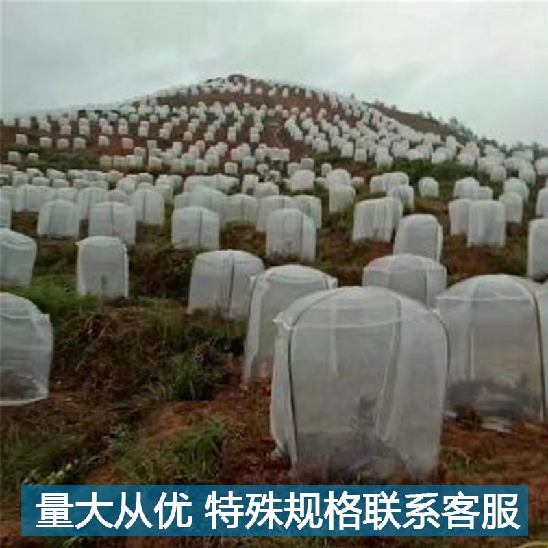 果树水果育苗防虫网罩农用杨梅樱桃蚊帐罗幔防鸟网防风网40目网罩在类目 鲜花速递/花卉仿真/绿植园艺, 园艺用品, 其它园艺用品中 - 来自Buy2taobao.com提供专业的淘宝代购服务