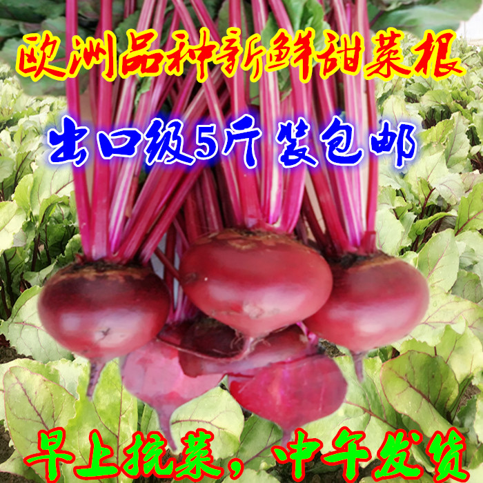 European varieties beetroot Red Beetroot Beet head Vegetables Enzyme Produce 5 poundsin the Aquatic meat/Fresh fruits and vegetables/Cooked , Fresh vegetables/Vegetable products , Fresh vegetables , Other category - from Buy2taobao.com to provide professional Taobao agent buy service