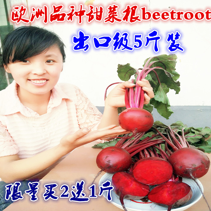 2019年新鲜现挖原生态有机甜菜根打汁甜菜头红菜头5斤装包邮在类目 水产肉类/新鲜蔬果/熟食, 新鲜蔬菜/蔬菜制品, 新鲜蔬菜, 其它中 - 来自Buy2taobao.com提供专业的淘宝代购服务