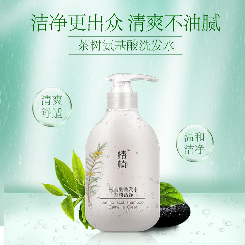 『椿植』茶樹潔淨氨基酸洗發水 天然植物配方 溫和去屑 控油去油在類目 美髮護髮/假髮, 洗髮護髮(新), 洗髮水中 - 來自Buy2taobao.com提供專業的淘寶代購服務