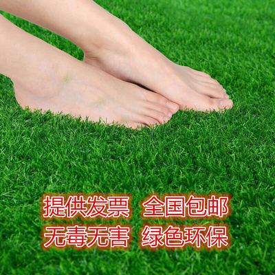 塑胶人工草皮仿真草坪地毯幼儿园室内室外假草坪防真草地塑料