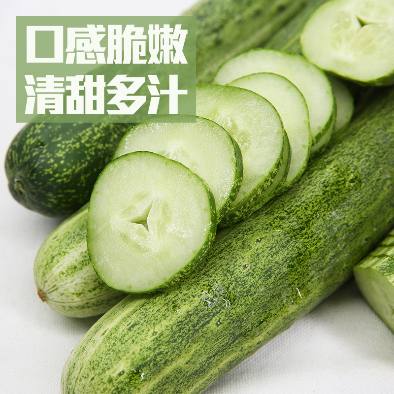喜乐田园 黄瓜500g新鲜农家自种水果孕妇水果现摘旱小刺黄瓜|msdalam kategori daging perikanan/Buah-buahan segar dan sayur-sayuran/dimasak, sayur-sayuran segar/Vegetable Products, sayur-sayuran segar, lain - dari Buy2taobao.com untuk memberikan perkhidmatan ejen Taobao profesional membeli