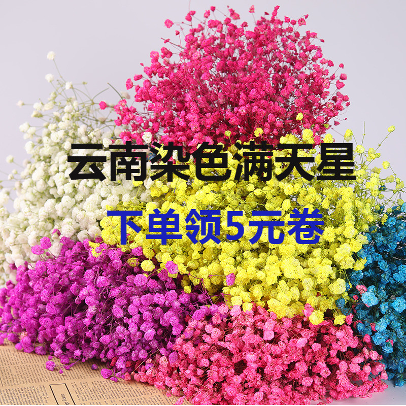 满天星 干花花束家居摆设小清新真花插客厅装饰摆件网红ins带花瓶|msdalam kategori Aksesori rumah, pasu/bunga/bunga tiruan/perhiasan imitasi, bunga kering/Petal/pakej bunga kering/ranting kering - dari Buy2taobao.com untuk memberikan perkhidmatan ejen Taobao profesional membeli
