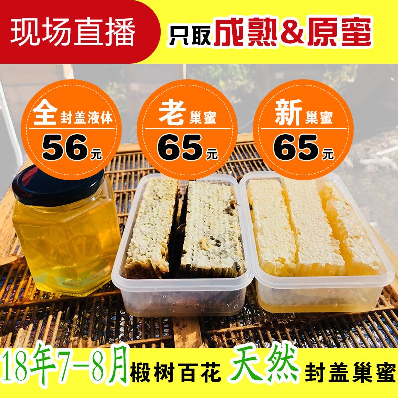 【兰竹家全封盖蜜】直播现取分离蜜波美度42.5-43.5特价56元一斤在类目 传统滋补营养品, 蜂蜜中 - 来自Buy2taobao.com提供专业的淘宝代购服务