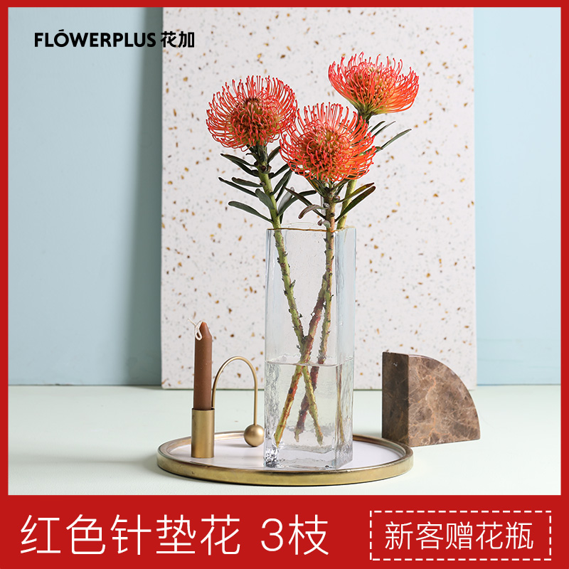 FlowerPlus花加南非进口稀有花材红色针垫鲜花速递同城包邮在类目 鲜花速递/花卉仿真/绿植园艺, 鲜花速递(同城)中 - 来自Buy2taobao.com提供专业的淘宝代购服务
