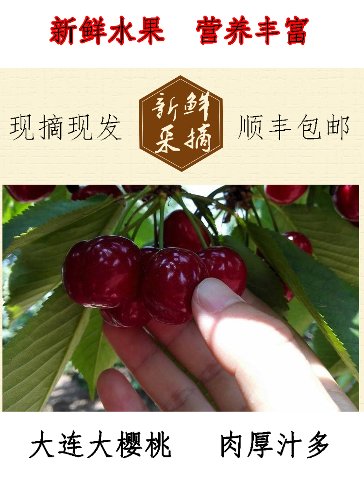 3斤辽宁大连大樱桃美早沙蜜豆现摘现发现货新鲜水果顺丰包邮在类目 水产肉类/新鲜蔬果/熟食, 新鲜水果, 车厘子/樱桃中 - 来自Buy2taobao.com提供专业的淘宝代购服务