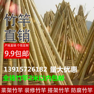 竹竿 装饰防腐竹竿菜园搭架竹彩旗杆肚腩竹庭院篱笆跳舞竹竿包邮