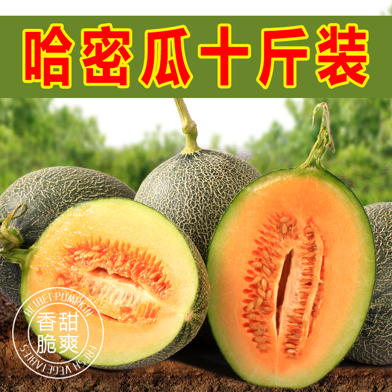 新疆哈密瓜整箱10斤甜瓜新鲜当季水果网纹瓜西州密瓜一箱应季蜜瓜在类目 水产肉类/新鲜蔬果/熟食, 新鲜水果, 哈密瓜中 - 来自Buy2taobao.com提供专业的淘宝代购服务
