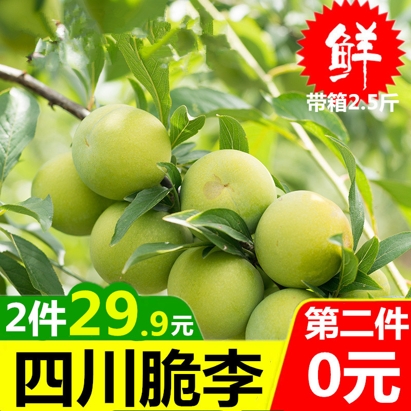 第2件0元四川脱骨脆红青李子 现摘水果新鲜带箱2.5斤孕妇农家土李在类目 水产肉类/新鲜蔬果/熟食, 新鲜水果, 李子中 - 来自Buy2taobao.com提供专业的淘宝代购服务