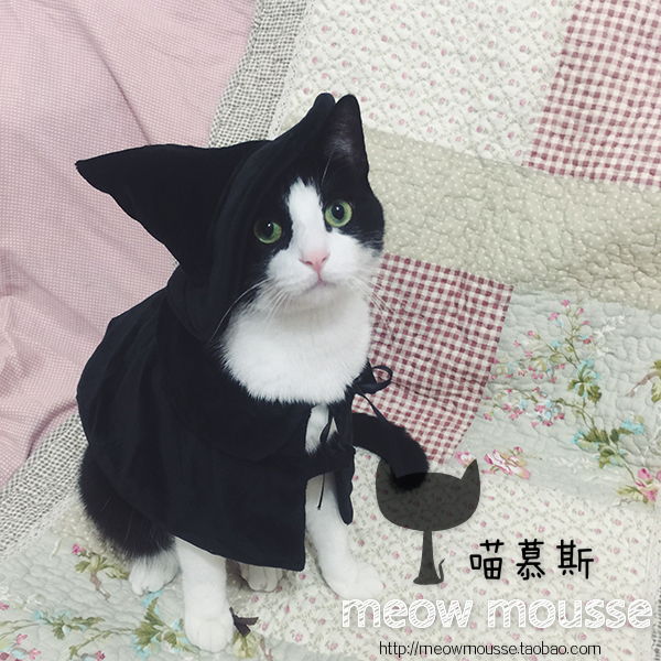 【喵慕斯】kojima宠物服装变身装巫师套装猫咪狗狗衣服万圣节在类目 宠物/宠物食品及用品, 宠物服饰及配件, 宠物服装/雨衣中 - 来自Buy2taobao.com提供专业的淘宝代购服务
