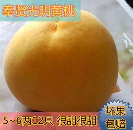 上海奉贤光明锦绣黄桃 甜新鲜桃子礼盒装5~6两12只非姚庄砀山黄桃在类目 水产肉类/新鲜蔬果/熟食, 新鲜水果, 桃中 - 来自Buy2taobao.com提供专业的淘宝代购服务
