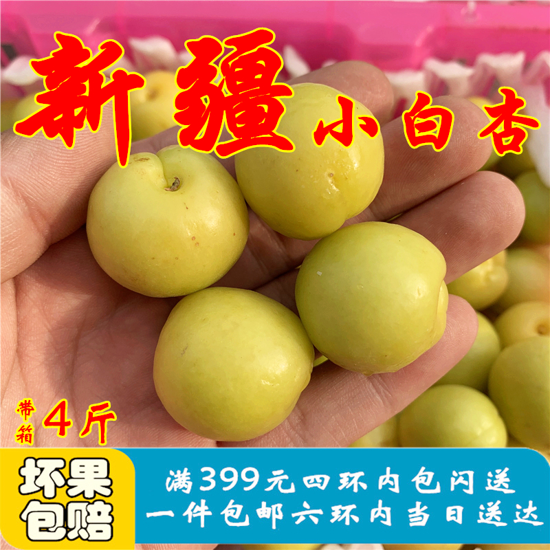 Xinjiang Small white apricot fresh Kuqa Season fresh fruit Apricots Season goods in stock children pregnant woman Apricotin the Aquatic meat/Fresh fruits and vegetables/Cooked , Fresh fruit , Other category - from Buy2taobao.com to provide professional Taobao agent buy service