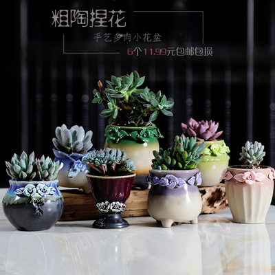 多肉随机新颖款式四个15.99元 个性简约陶瓷花盆创意绿植欧式老桩