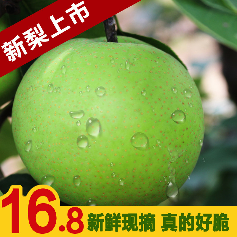 砀山梨子新鲜水果皇冠梨水晶玉露香梨酥梨雪花贡梨装5斤现摘现发
