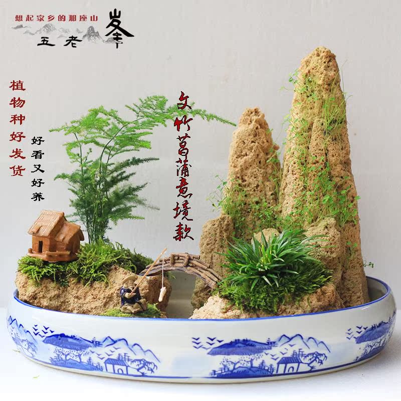 五老峰天然吸水石假山上水石山水盆景原石奇石微景觀家居招財擺件在類目 鮮花速遞/花卉仿真/綠植園藝, 園藝用品, 其它園藝用品中 - 來自Buy2taobao.com提供專業的淘寶代購服務