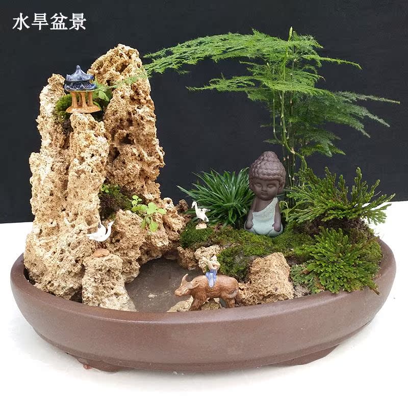天然上水石吸水石植物山石盆景原石假山石头奇石水旱盆景创意礼品在类目 鲜花速递/花卉仿真/绿植园艺, 园艺用品, 其它园艺用品中 - 来自Buy2taobao.com提供专业的淘宝代购服务