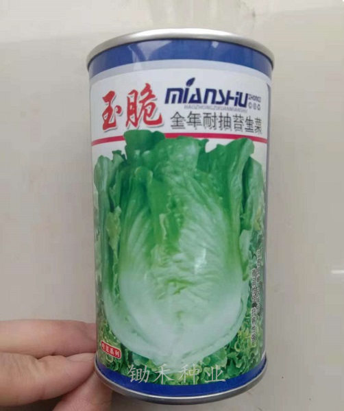 意大利全年生菜王种子耐抽薹苔生菜春夏秋季蔬菜种子四季阳台种菜在类目 农用物资, 种子/种苗, 蔬菜种子中 - 来自Buy2taobao.com提供专业的淘宝代购服务
