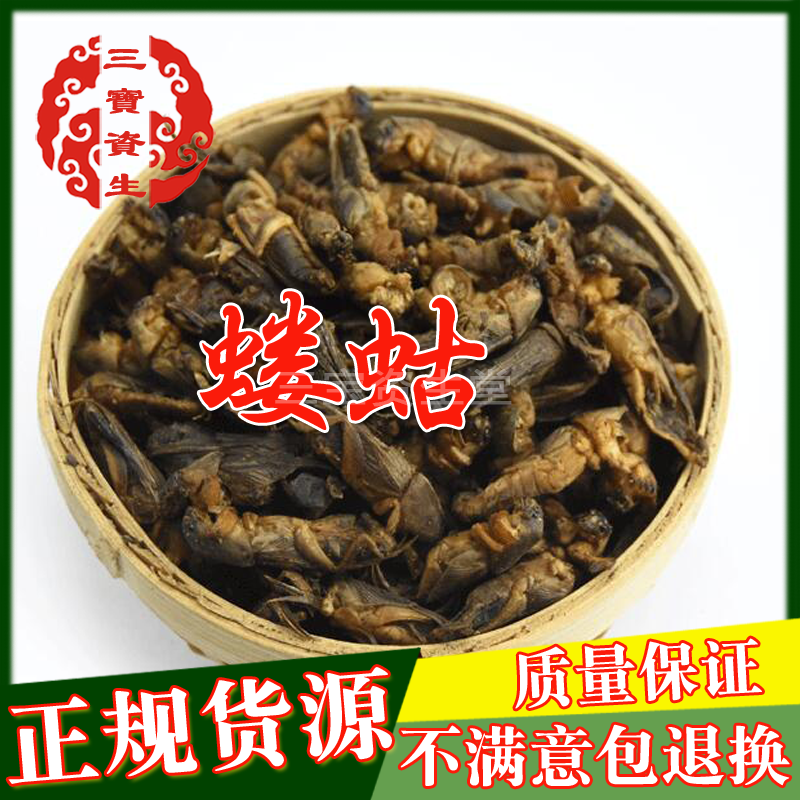 Mayflies Produce frog Dog Dog Cricket birdseed 500 gramin the Traditional nourishing food , Other traditional tonic , Other traditional tonic category - from Buy2taobao.com to provide professional Taobao agent buy service